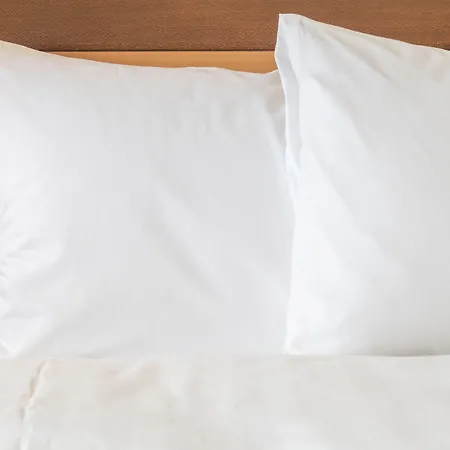 Express Frankfurt Airport By Ihg Hotel 3*