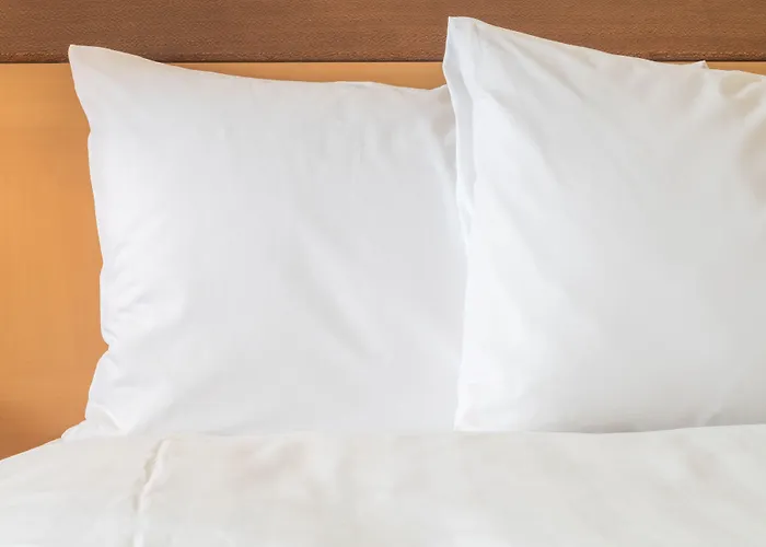 Express Frankfurt Airport By Ihg Hotel 3*